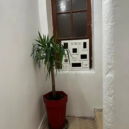 La Nichee 2 Apartment Trevoux